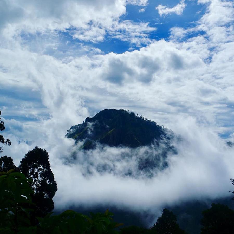 Secret View Homestay 엘라 외부 사진