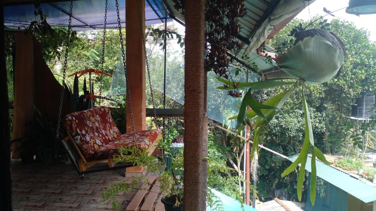 Secret View Homestay 엘라 외부 사진